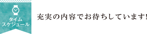 タイムスケジュール
