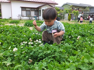 クローバーのお庭で 北陸学院扇が丘幼稚園