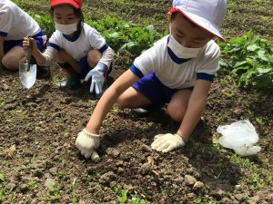 野菜の種や苗を植えたよ～２年生～