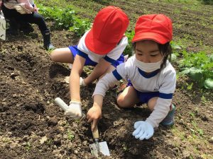 野菜の種や苗を植えたよ～２年生～