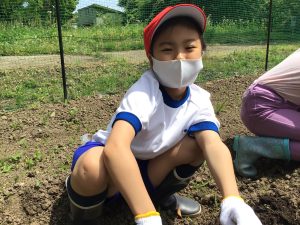 野菜の種や苗を植えたよ～２年生～