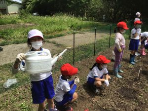 野菜の種や苗を植えたよ～２年生～