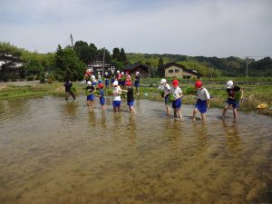 蓮花町で田植え