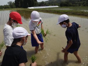 蓮花町で田植え