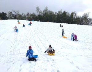 雪・雪・雪