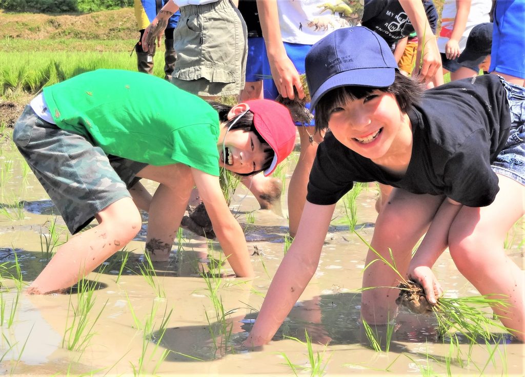 田植え体験!「おいしく育ってね」