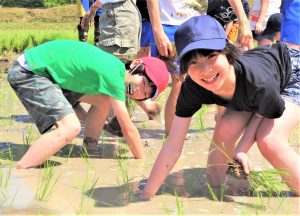 田植え体験！「おいしく育ってね」