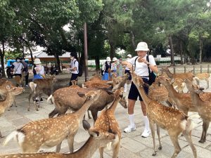 修学旅行1日目