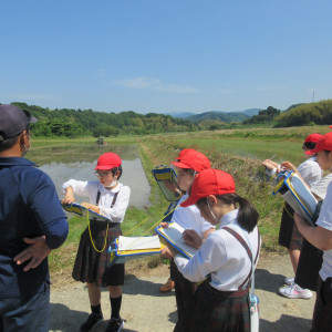 5年生　代かき見学