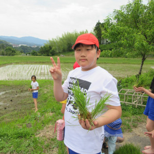 5年生　田植え体験