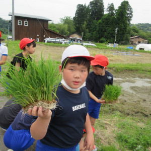 5年生　田植え体験