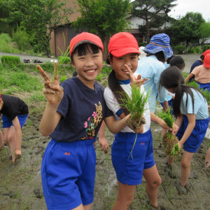 5年生　田植え体験