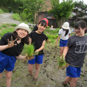 5年生　田植え体験