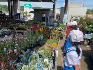 この力「お花畑プロジェクト」