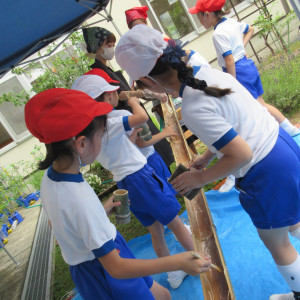 お山の学校・北陸小学校ならではの3年生の総合学習