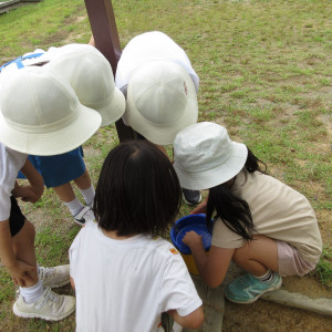 第一幼稚園との合同おのこり遊び