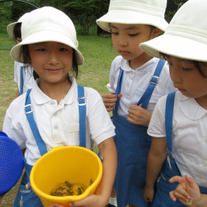 第一幼稚園との合同おのこり遊び