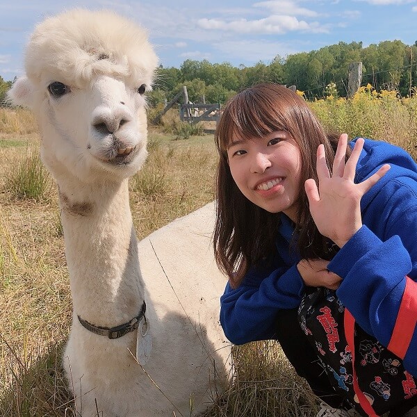 田中 弘美 教授